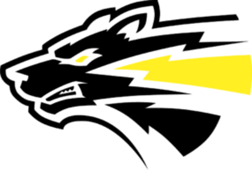 Storm Wolves
