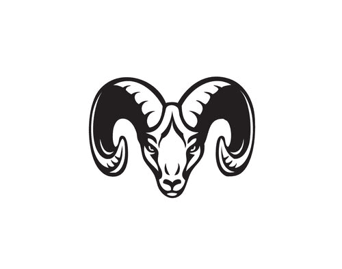 Wild Ram